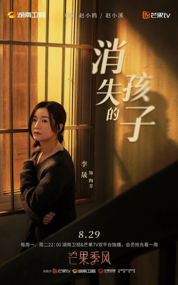 消失的孩子悬疑探案题材封面